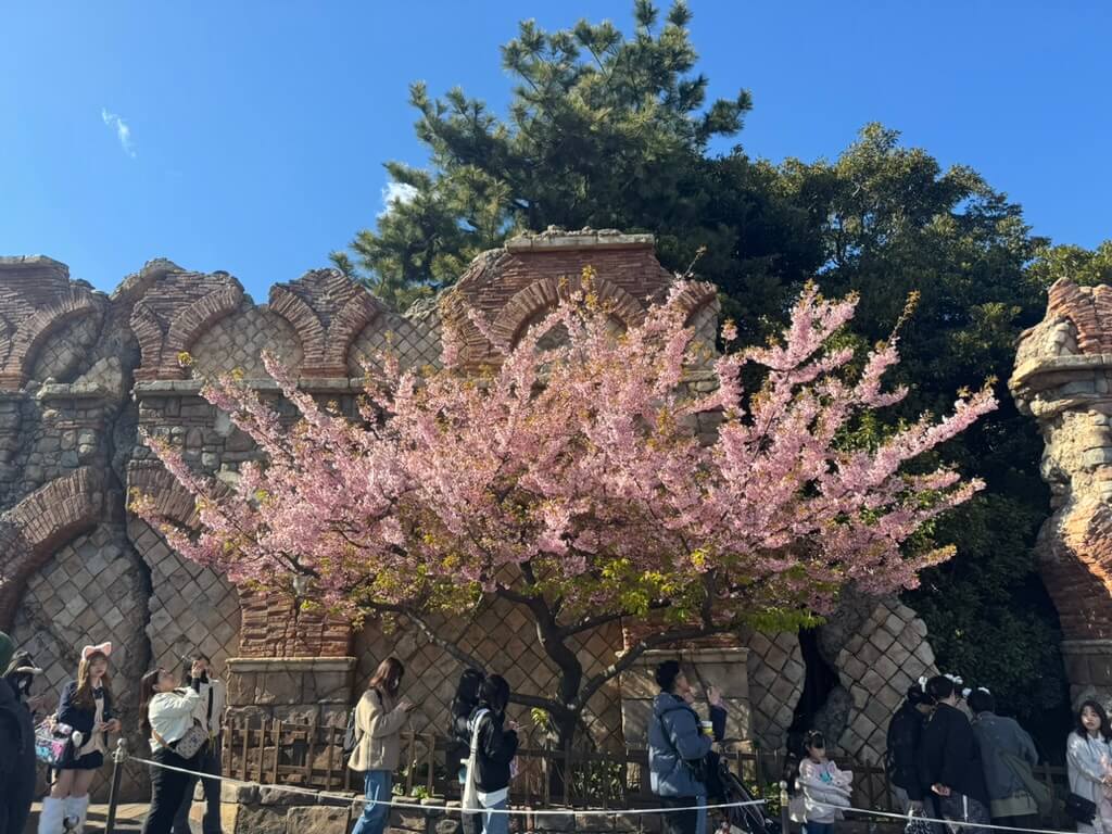 sakura-tree-in-front-of-stone-ruins.jpg